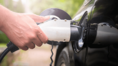 Exploring the Eco-Friendly Options From Auto Movers