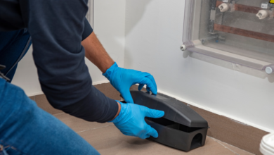 Why Hiring Local Exterminators in Chelmsford Makes a Difference
