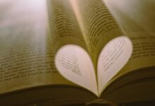 helpful daily tips shared