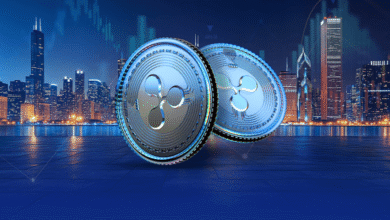 Understanding the Factors That Affect XRP Price: Insights from the XRP Price Calculator