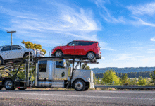 Essential Precautions for Vehicle Shipping