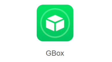 What is the Role of GBox in Accessing Google Apps?