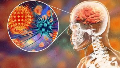 Emerging Viruses and Epidemics: What Recent Studies Reveal