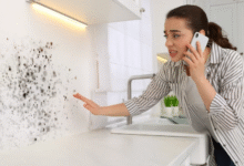 Essential Steps to Stop Mold Growth Quickly After a Home Flood