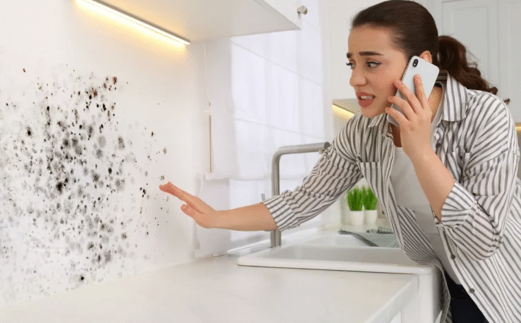 Essential Steps to Stop Mold Growth Quickly After a Home Flood