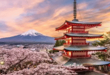 Some Of the Very Best Tokyo Travel Attractions