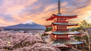 Some Of the Very Best Tokyo Travel Attractions