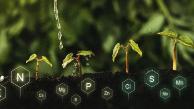 Improving Farm Sustainability Through Natural Nutrient Management