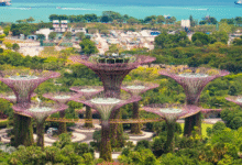 How Urban Development Is Influencing Singapore's Residential Landscape