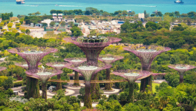 How Urban Development Is Influencing Singapore's Residential Landscape